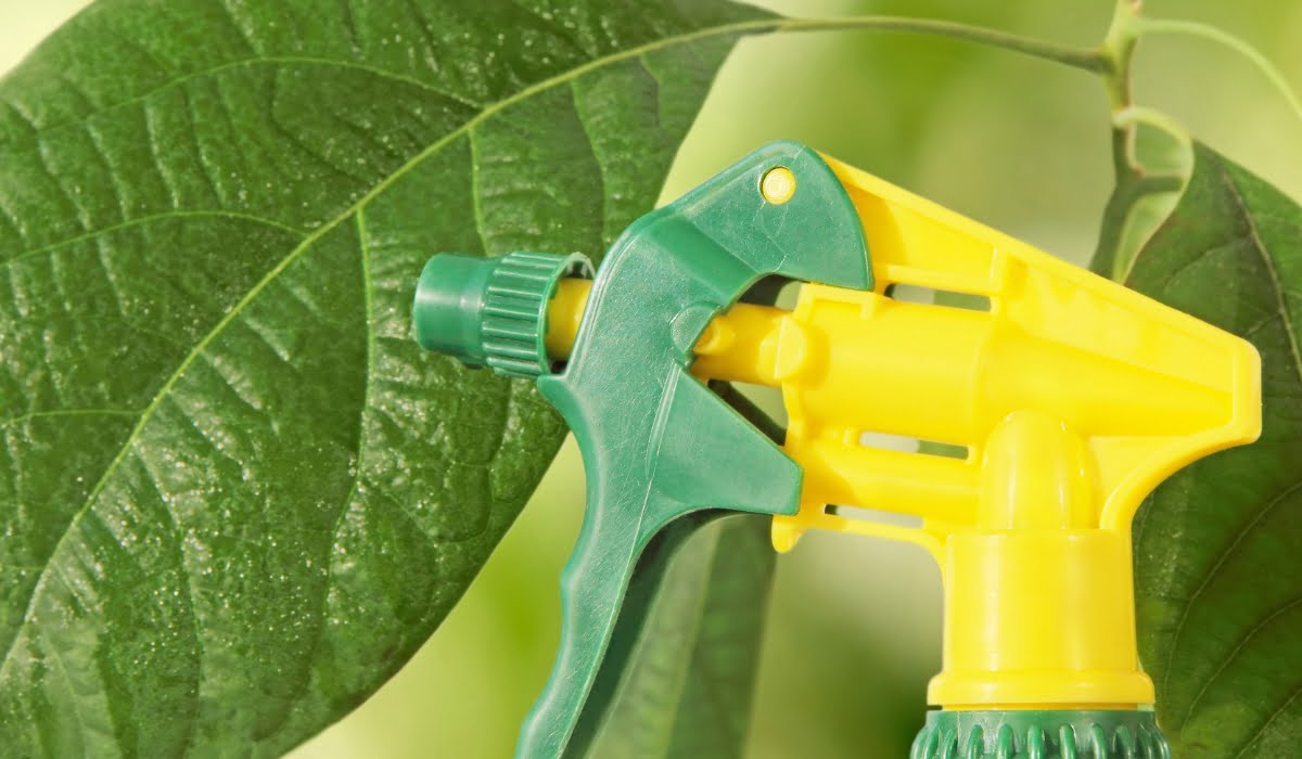 Spray bottle on green leaves of Avocado plant background