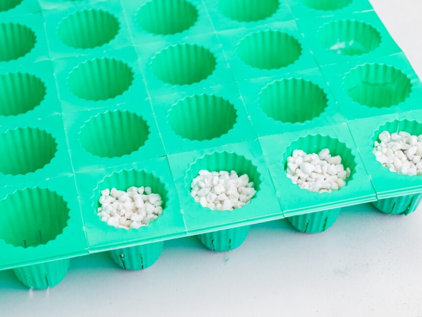 Why Every Plant Needs Perlite The Ultimate Guide Shehri Kisaan