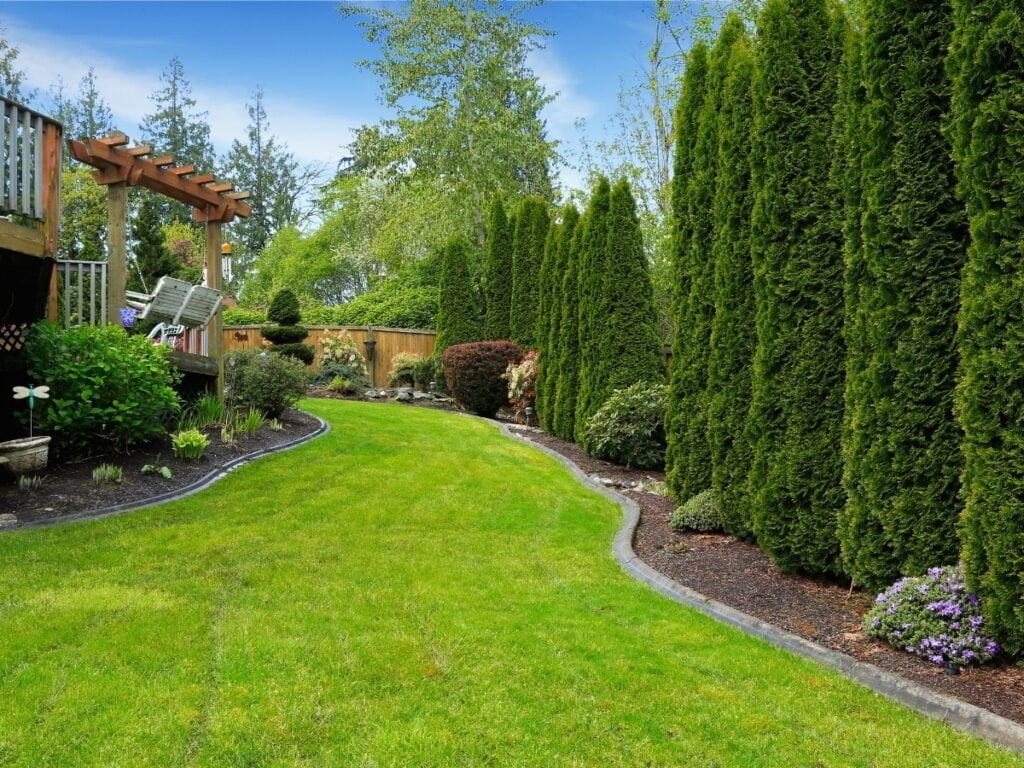 Why Every Plant Needs Perlite The Ultimate Guide Shehri Kisaan