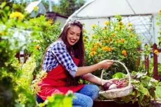 Importance of Gardening vegetable garden