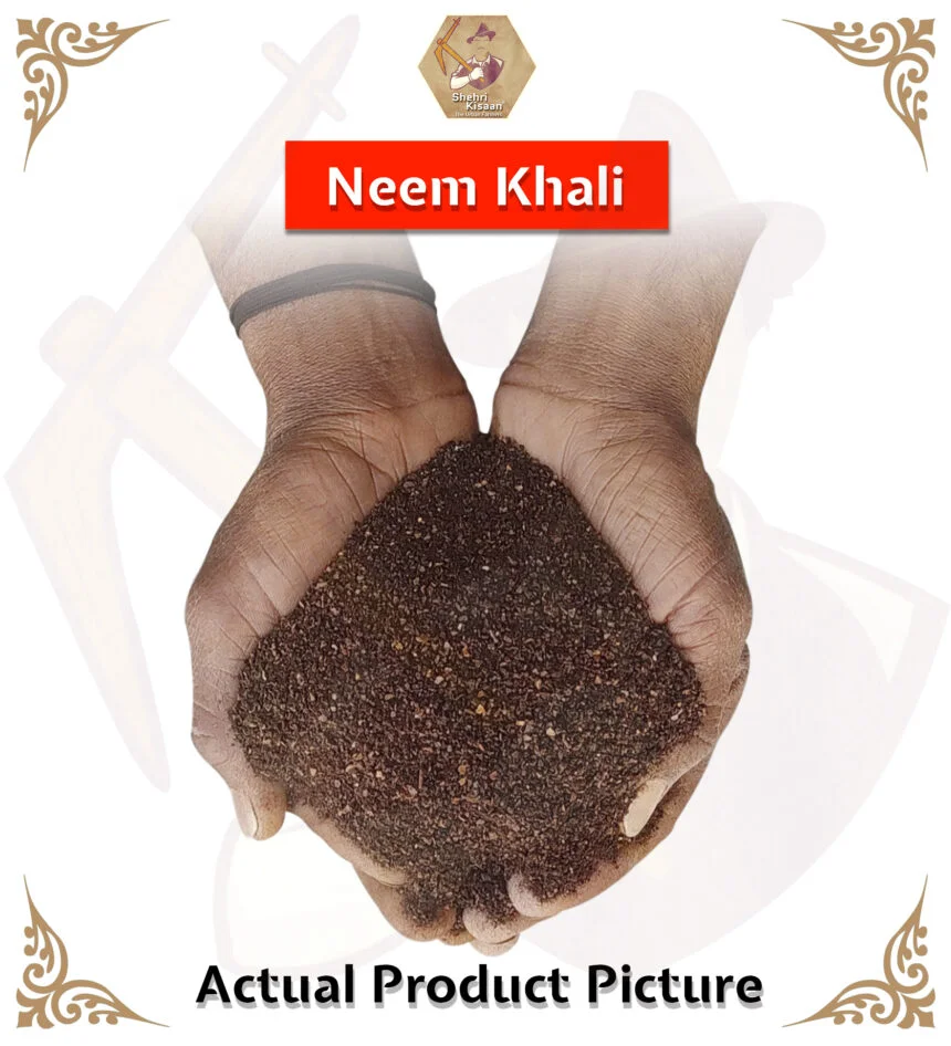 neem khali