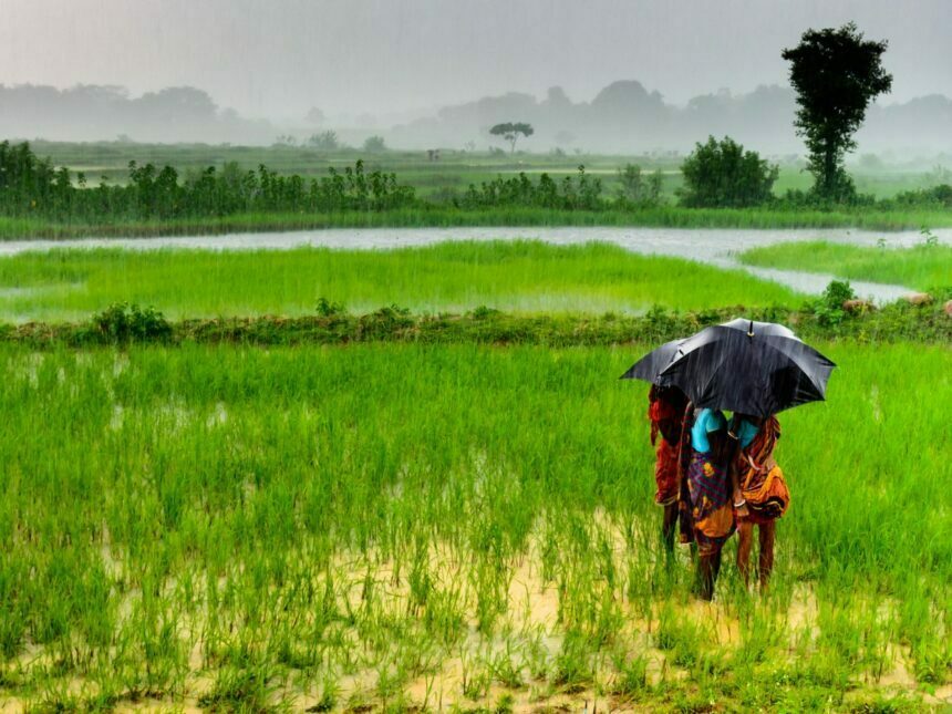 Zero Budget Natural Farming ZBNF
