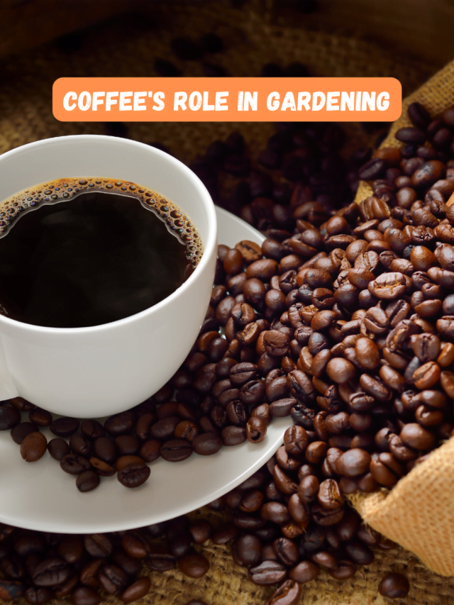 Caffeinate Your Garden: Unleashing the Power of Coffee in Gardening