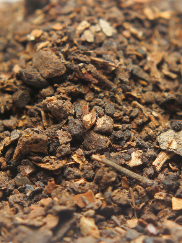 How Neem Cake Can Transform Your Plants