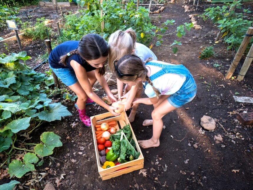 double your vegetable crop