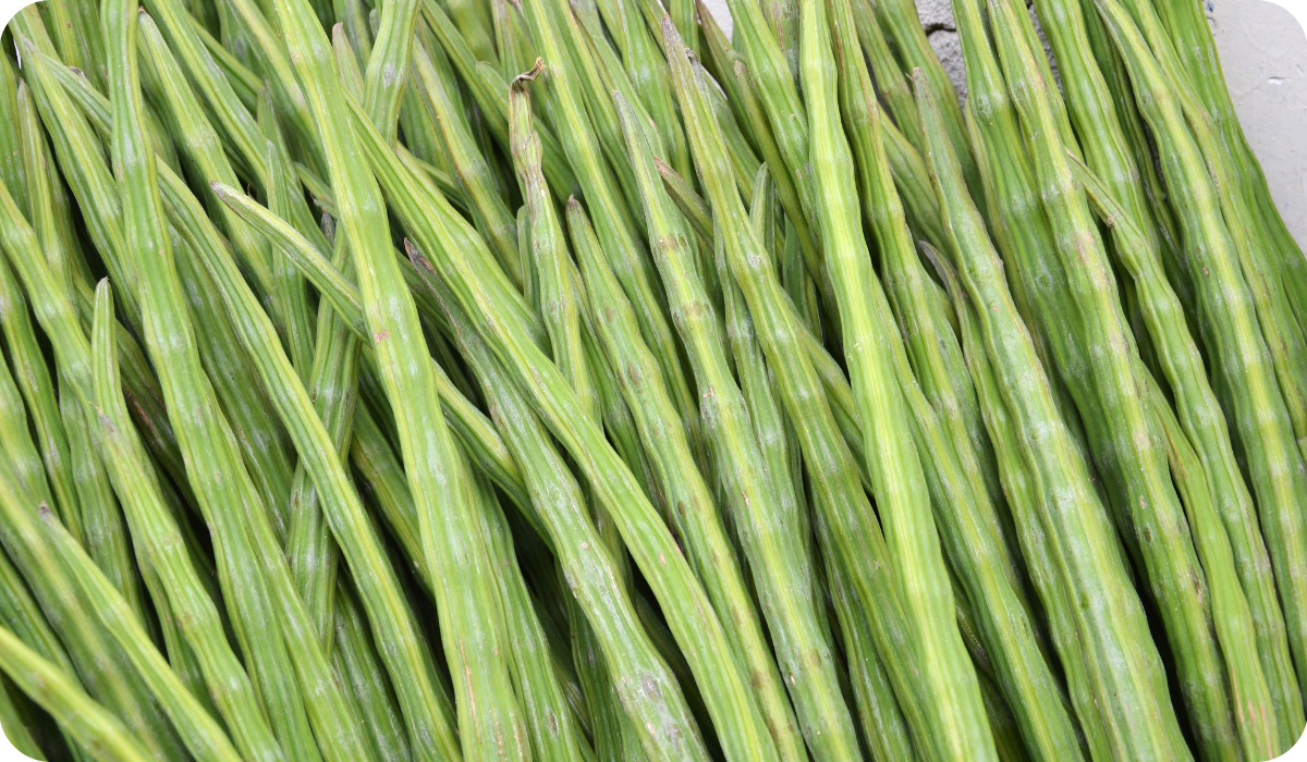 Drumstick Vegetable or Moringa on display at local market at Little India, Singapore
