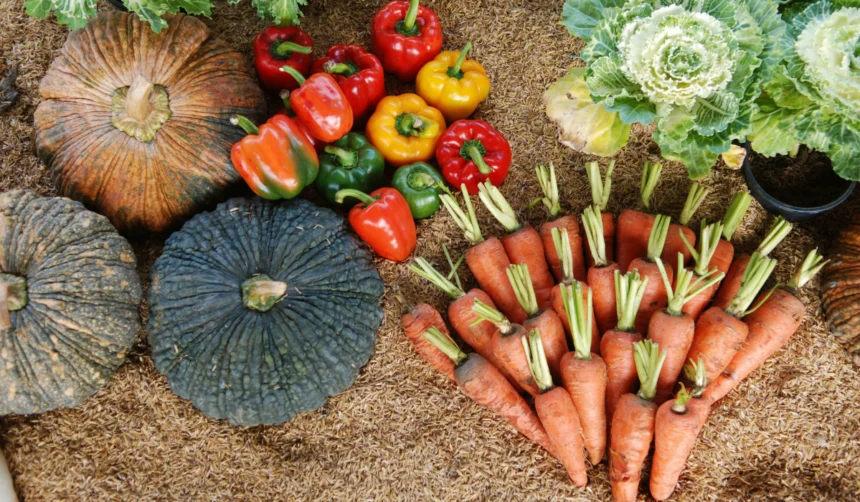 Vegetables on rice-husk