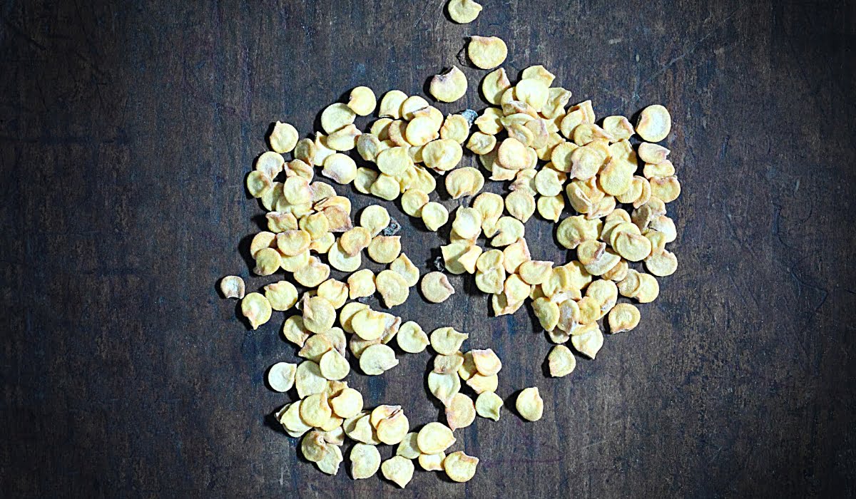 capsicum Seeds