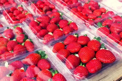 strawberry fruits in plastic pack