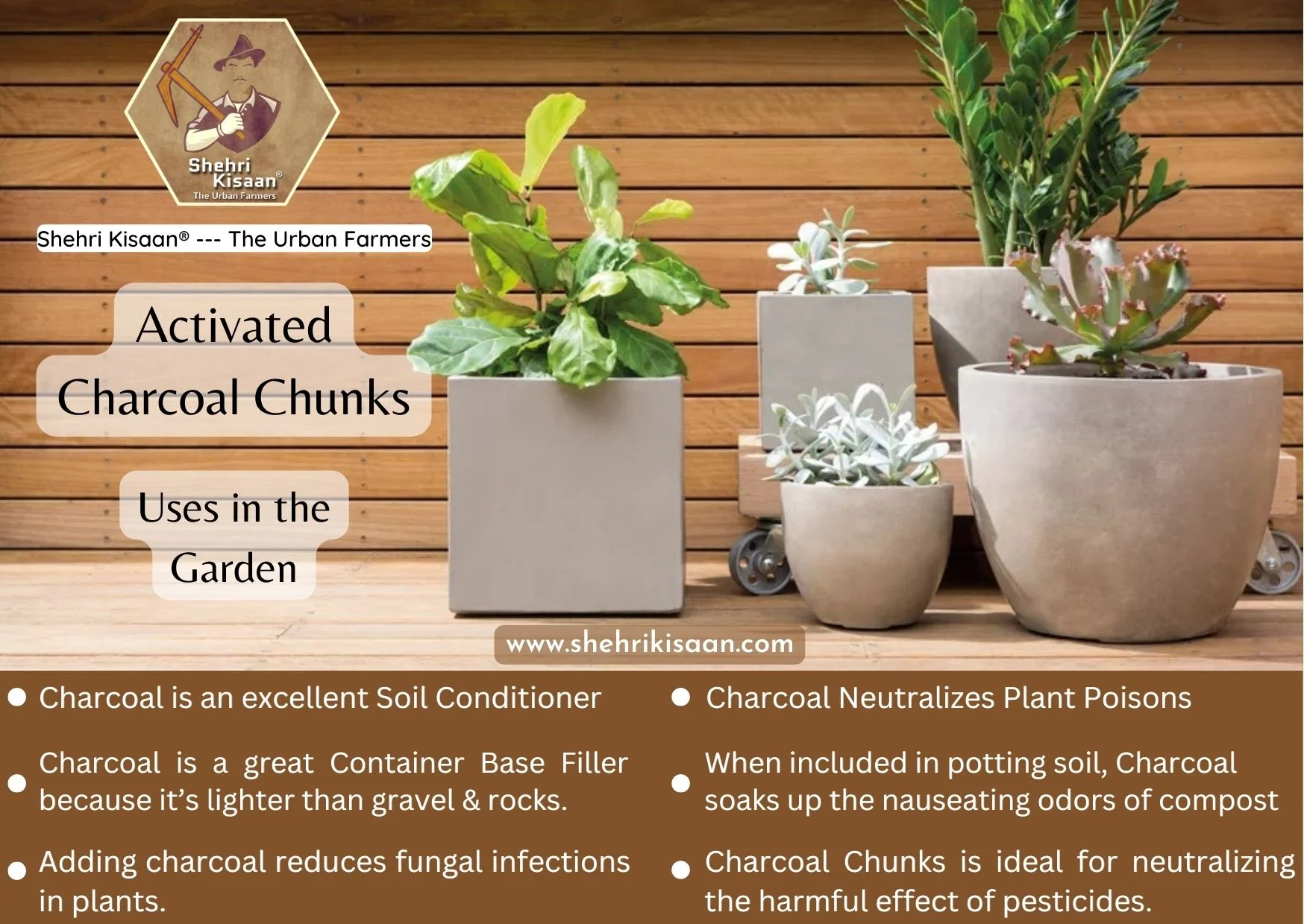Charcoal for Plants (Chunks) Enhancing Growth and Nourishment Shehri