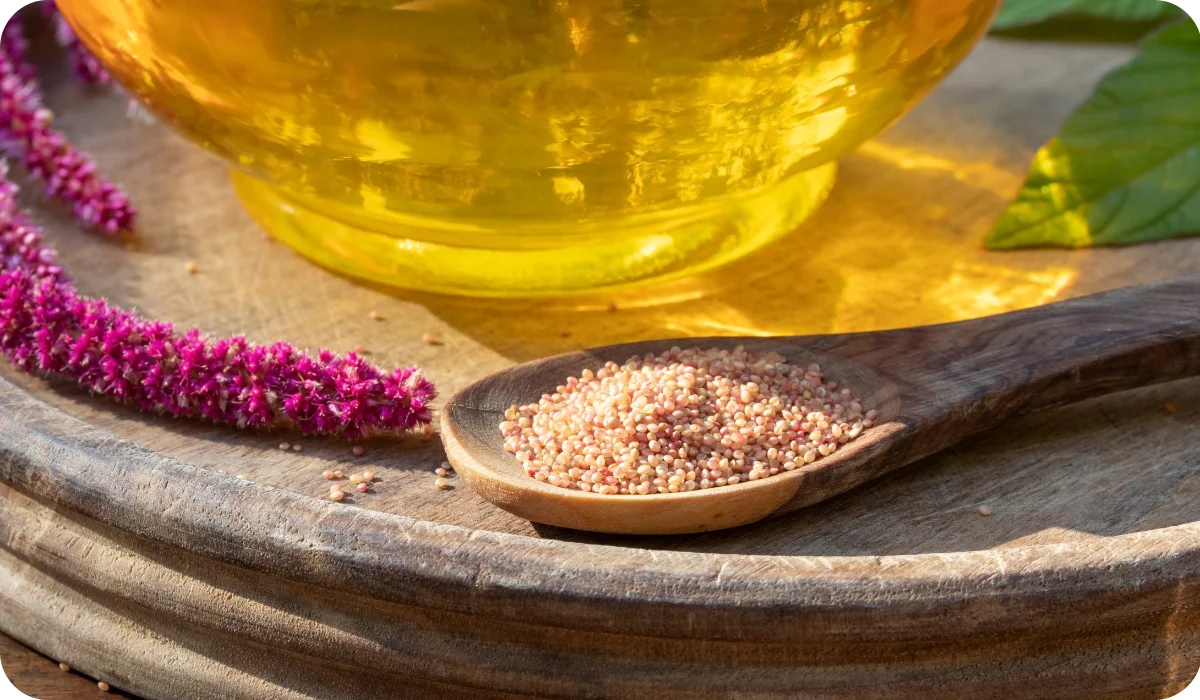 Amaranthus caudatus seeds, flowers and oil