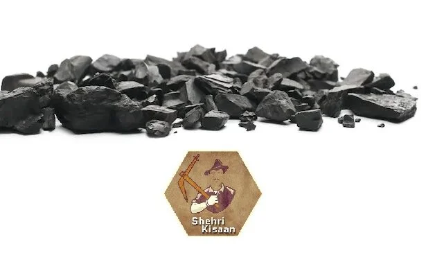 Charcoal for plants