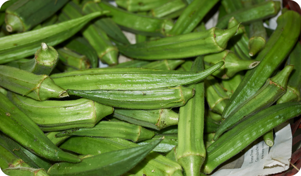 Home Gardener's Guide to Growing Okra Care Tips for Lady Finger Plant