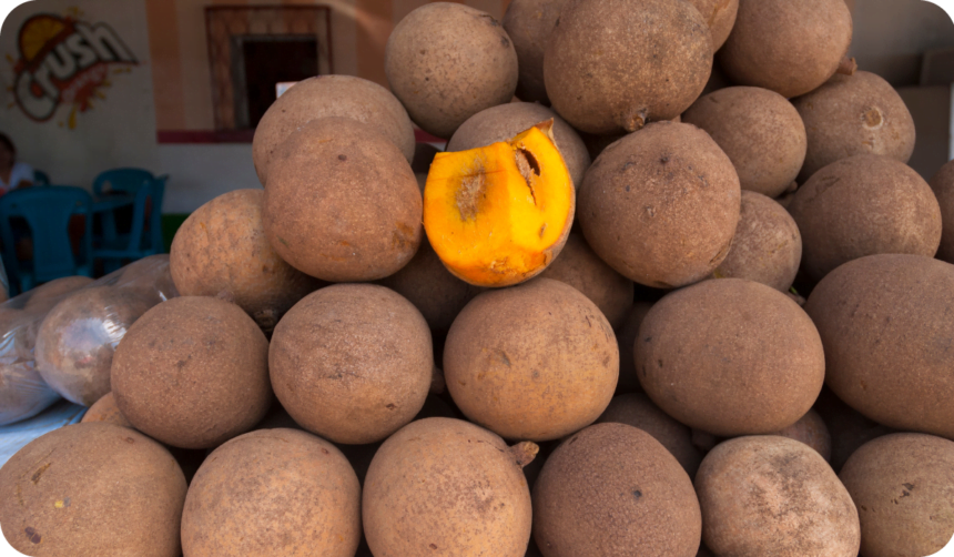 Fruit sale Mamey, Mammea americana L