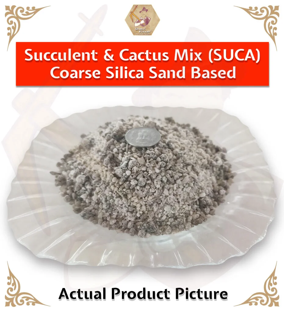 Coarse Silica Sand Based - Cactus and Succulent Potting Soil Mix