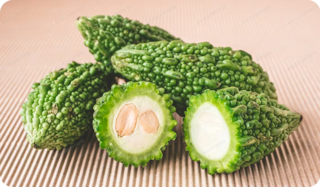 Harvested A Grade Bitter Gourd or Karela