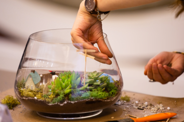 Making Terrariums