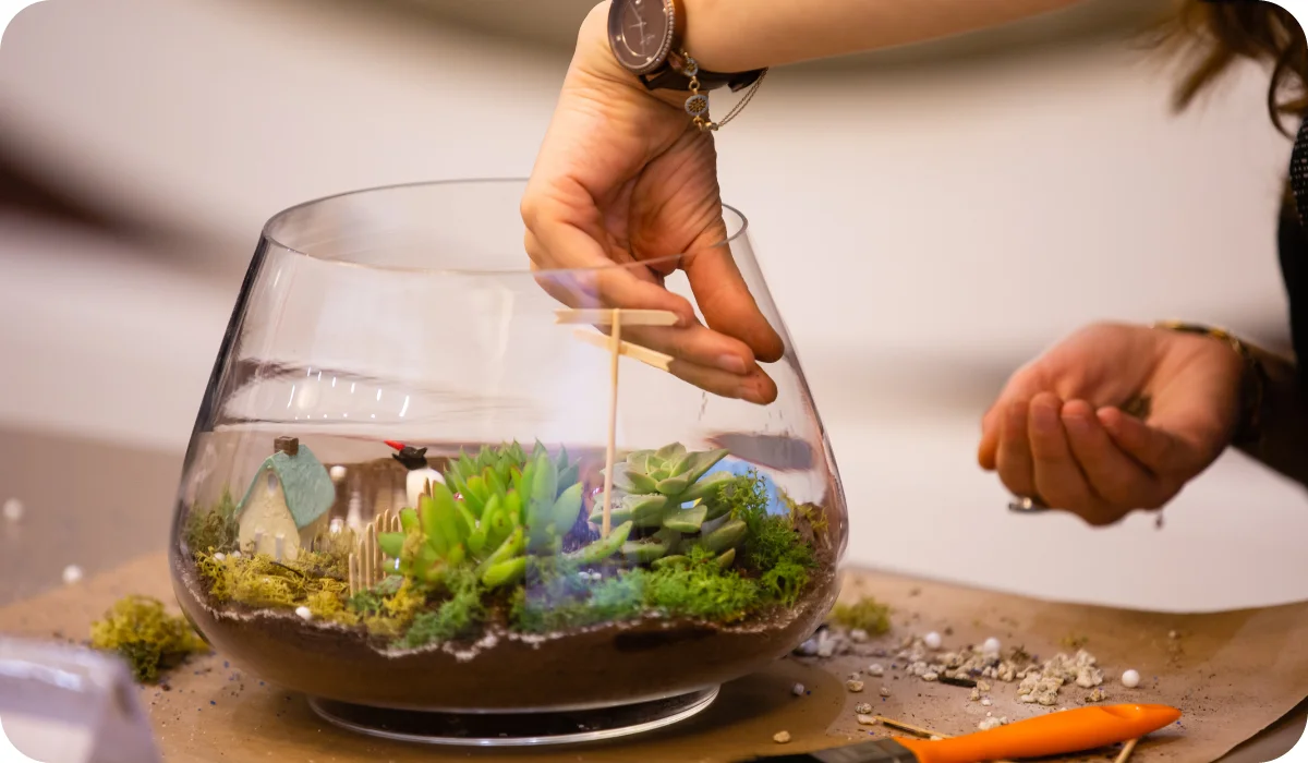 Making Terrariums