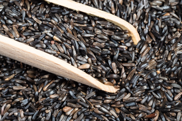 niger seeds (Guizotia Abyssinica) Ramtil Seeds